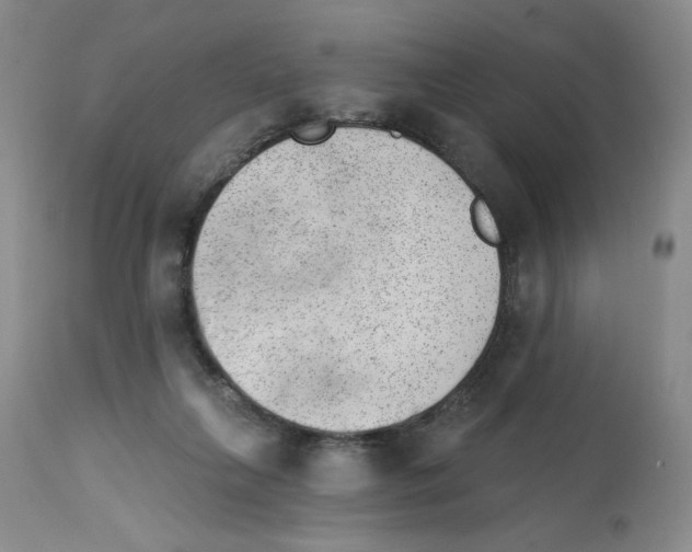 X0000112740263200910011227