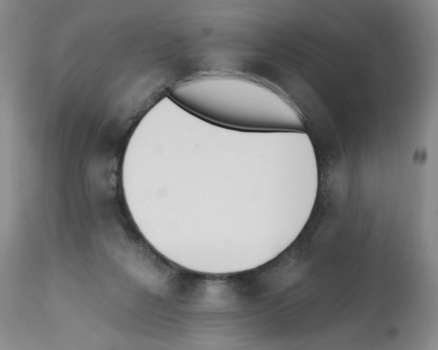 X0000112740264200910011227