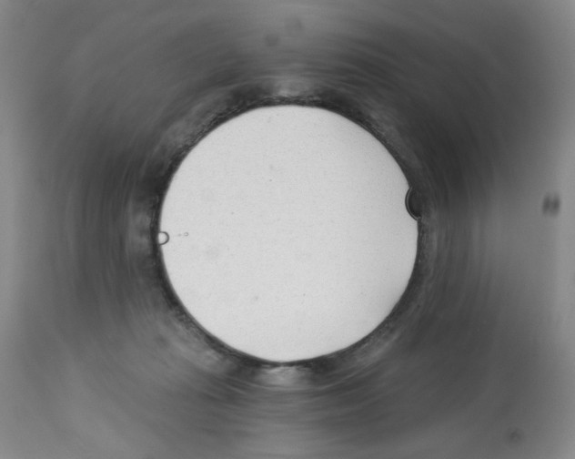 X0000112740269200910011227