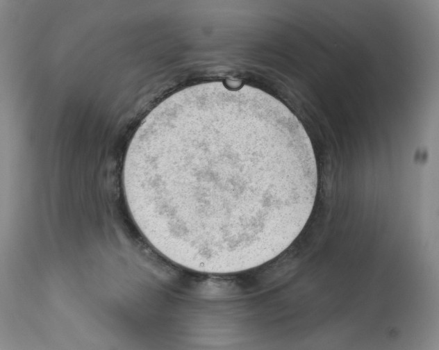 X0000112740270200910011227