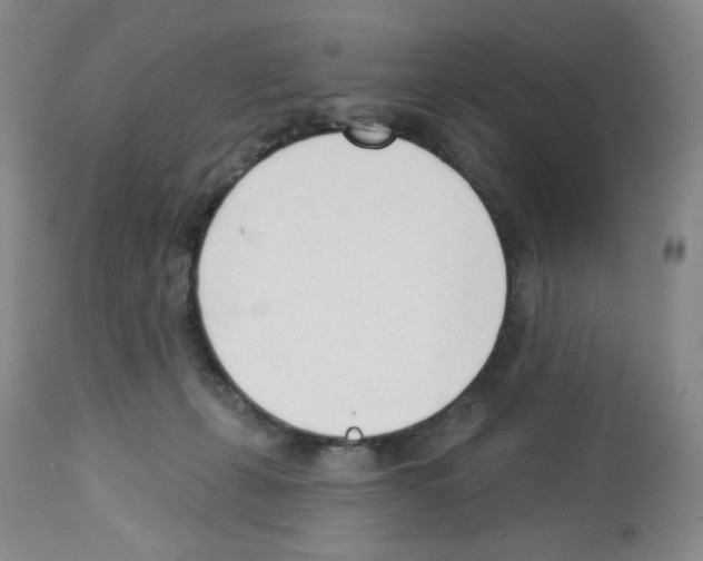 X0000112740271200910011227