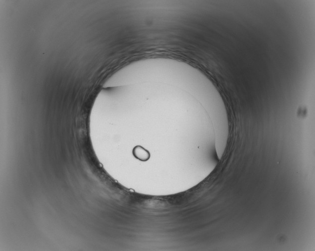 X0000112740272200910011227