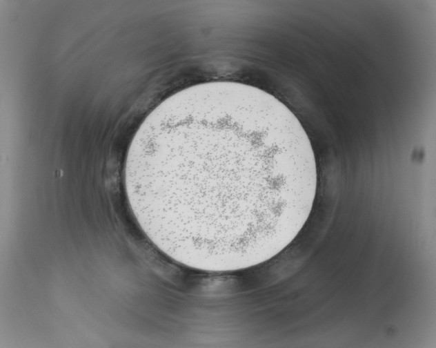 X0000112740274200910011227