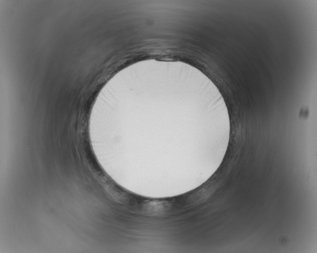 X0000112740277200910011227