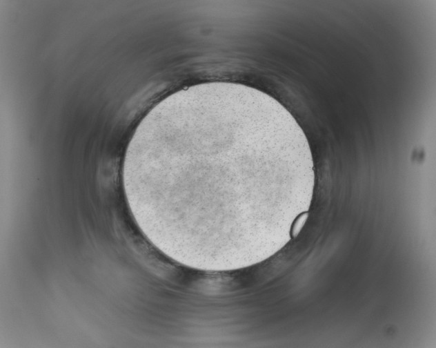 X0000112740278200910011227