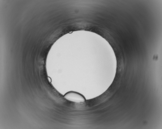 X0000112740279200910011227