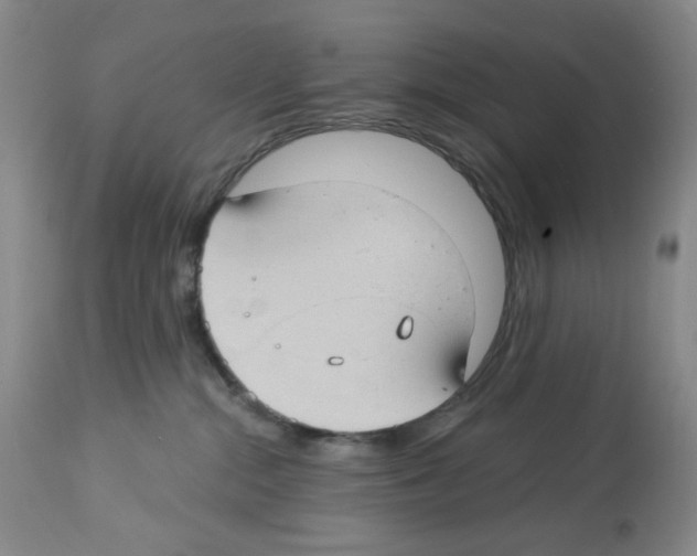 X0000112740284200910011228