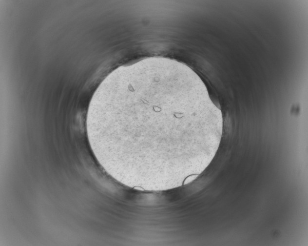 X0000112740286200910011228