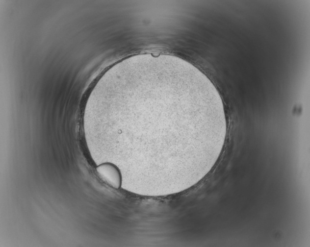 X0000112740290200910011227