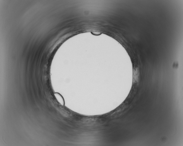 X0000112740291200910011227