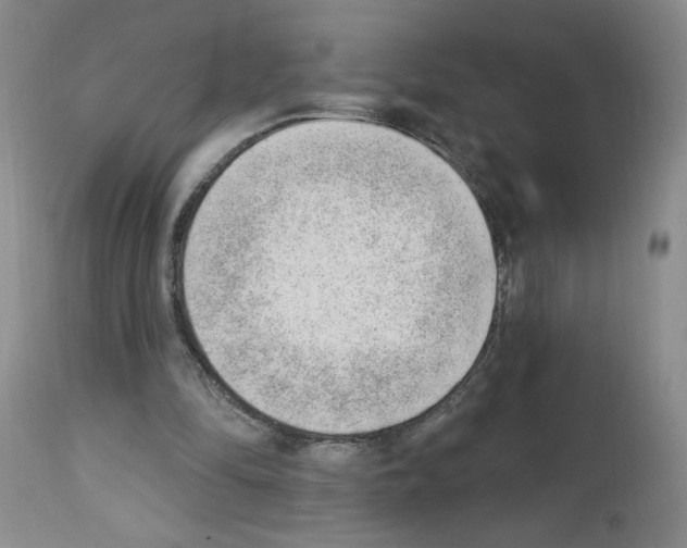 X0000112740294200910011227