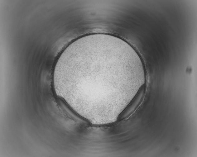 X0000112740297200910011227