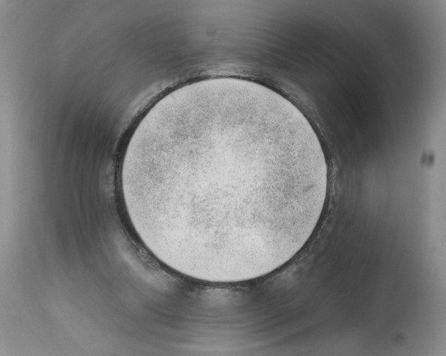 X0000112740298200910011227