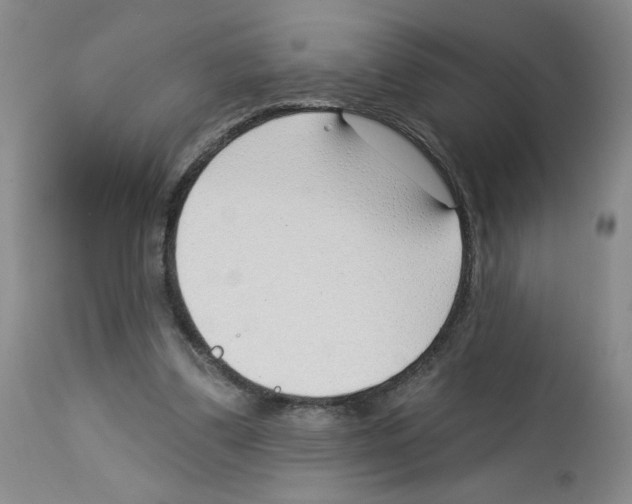 X0000112740299200910011227