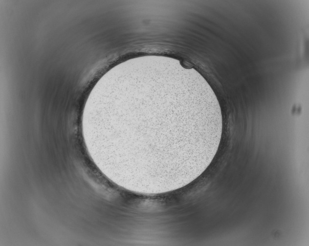 X0000112740303200910011227