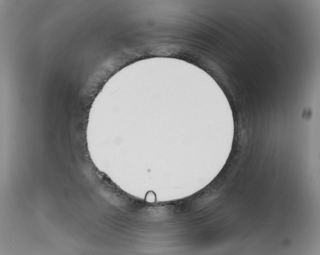 X0000112740307200910011227