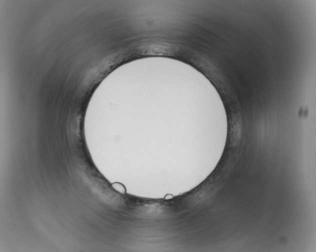 X0000112740310200910011227