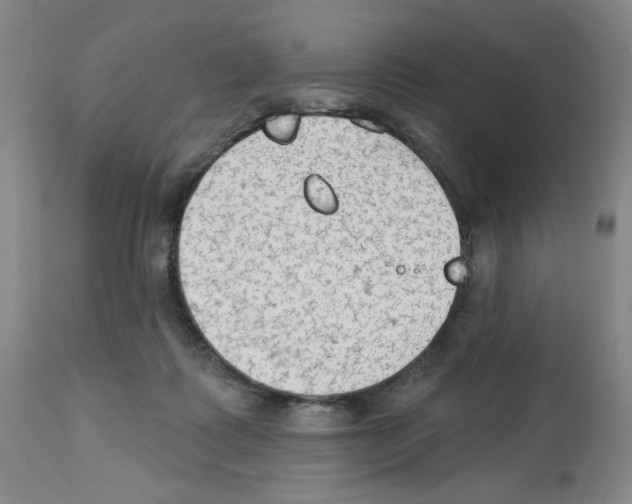 X0000112740315200910011227