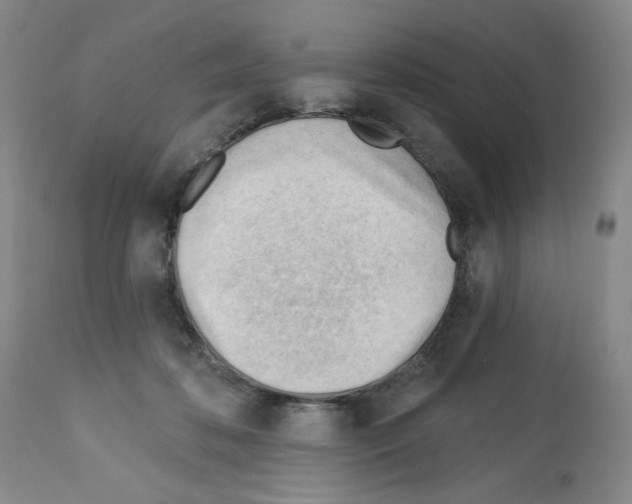 X0000112740316200910011227