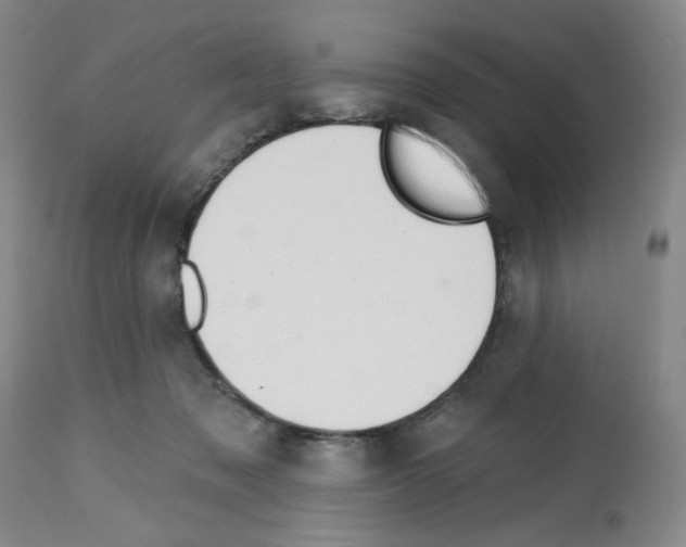 X0000112740317200910011227