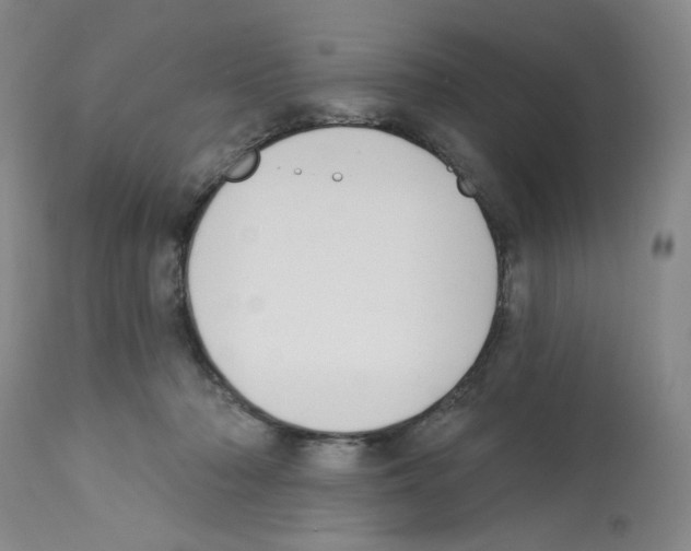 X0000112740318200910011227