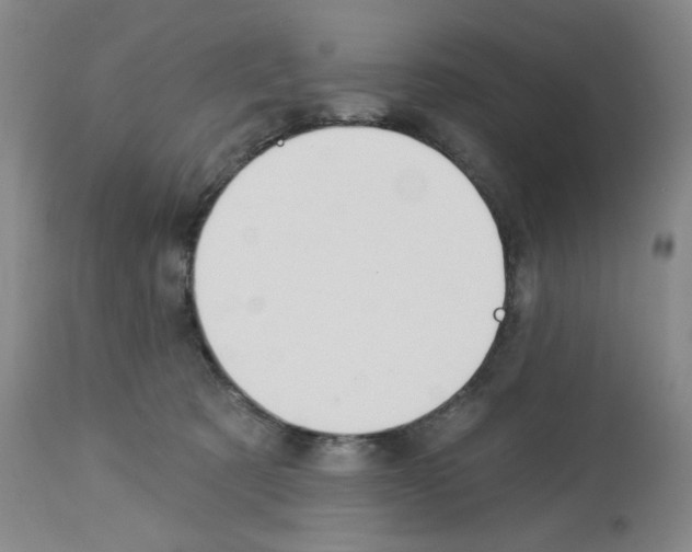 X0000112740321200910011226