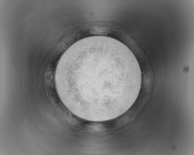 X0000112740322200910011226