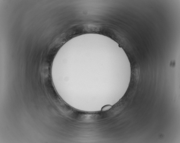 X0000112740323200910011226