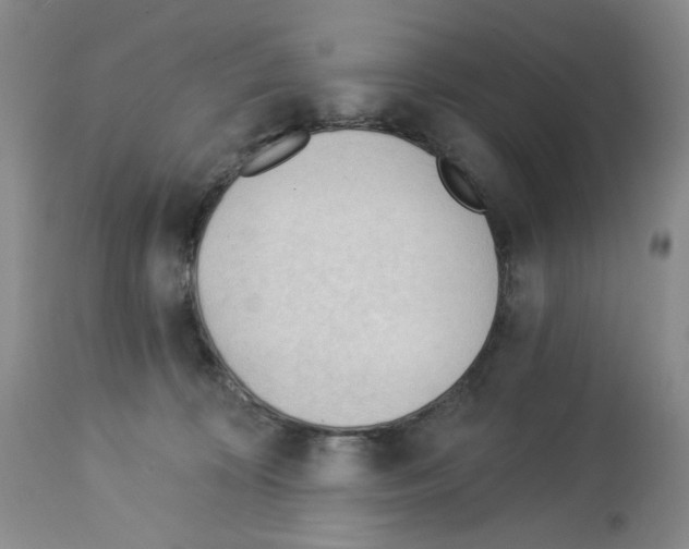 X0000112740324200910011226