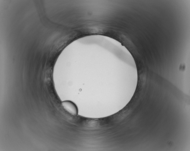 X0000112740325200910011226