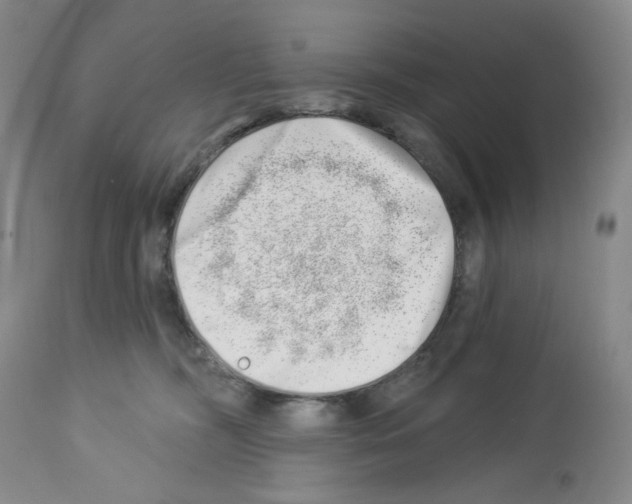 X0000112740326200910011226