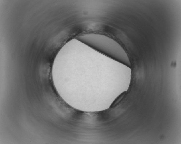 X0000112740328200910011226