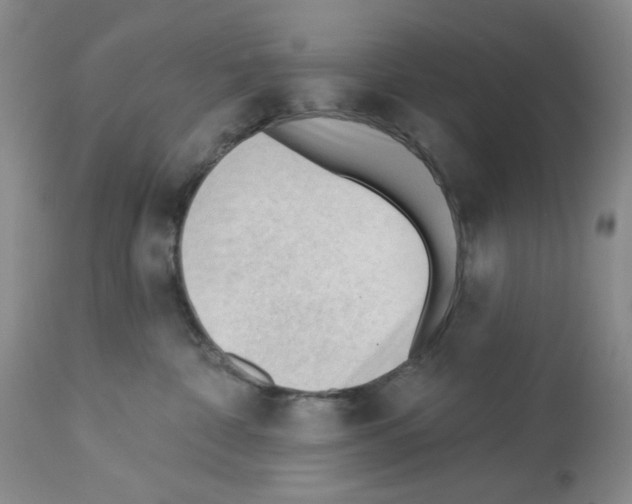 X0000112740332200910011226