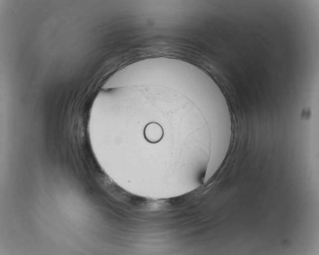 X0000112740333200910011226