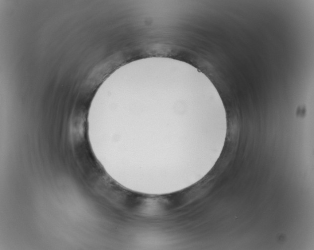 X0000112740334200910011226