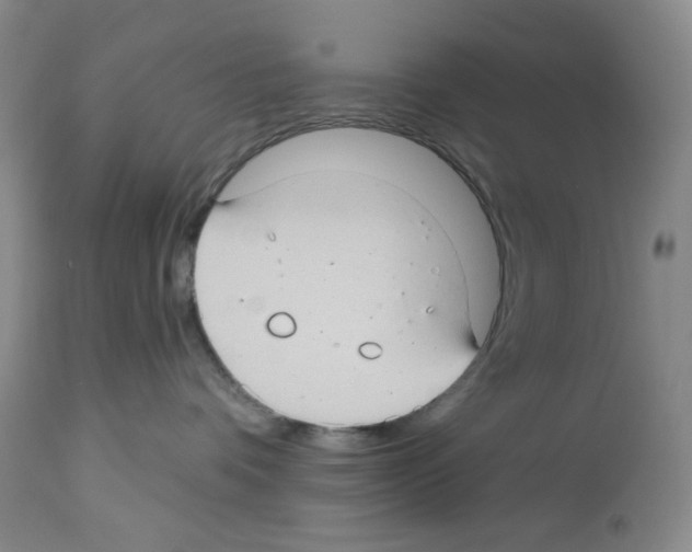 X0000112740336200910011226