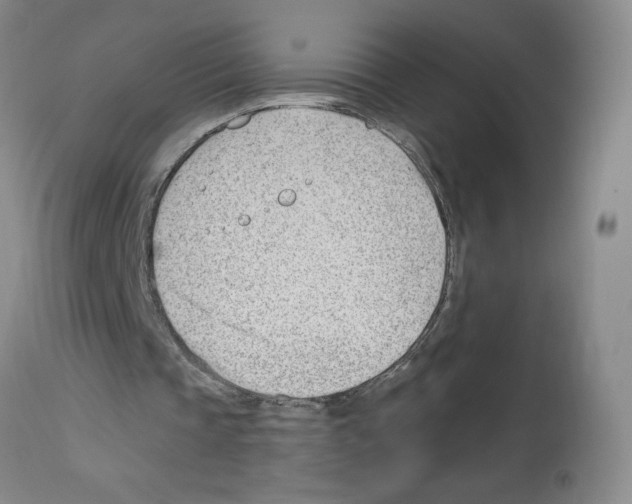 X0000112740337200910011226