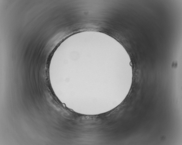 X0000112740338200910011226