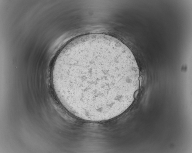 X0000112740339200910011226