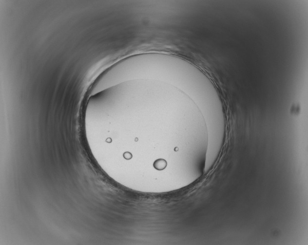 X0000112740340200910011226