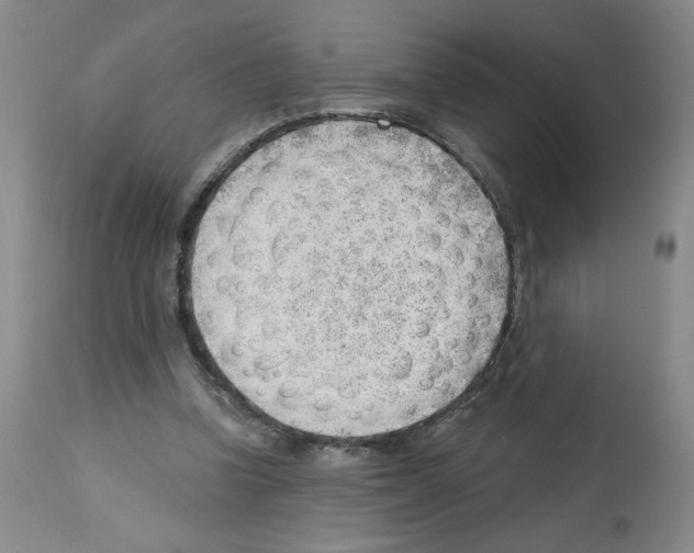 X0000112740346200910011226