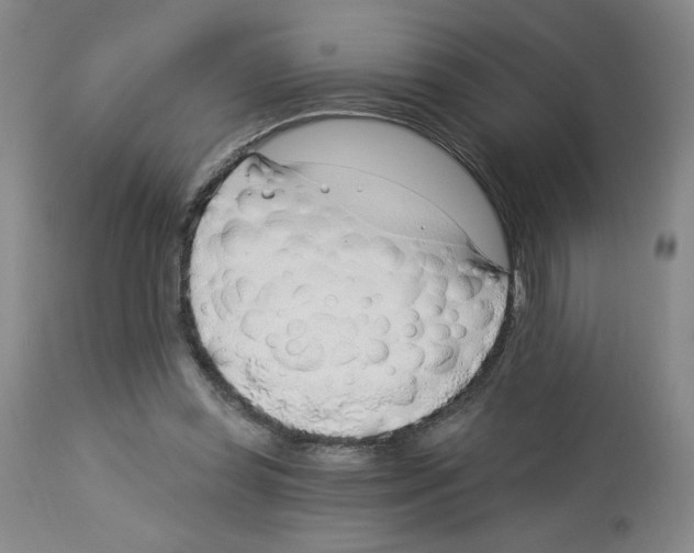 X0000112740349200910011226