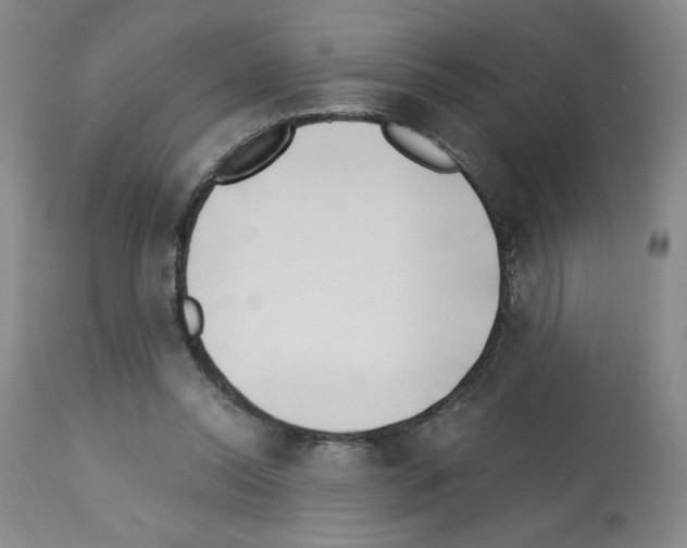 X0000112740350200910011226