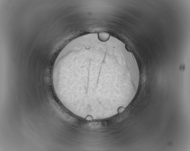 X0000112740353200910011226