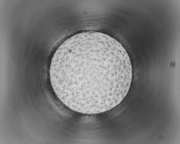 X0000112740354200910011226