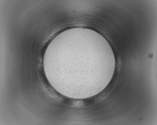 X0000112740355200910011226