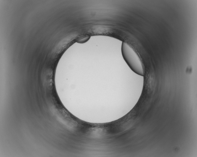 X0000112740356200910011226