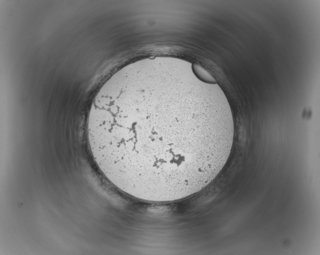 X0000112740357200910011226