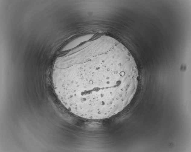 X0000112740359200910011226