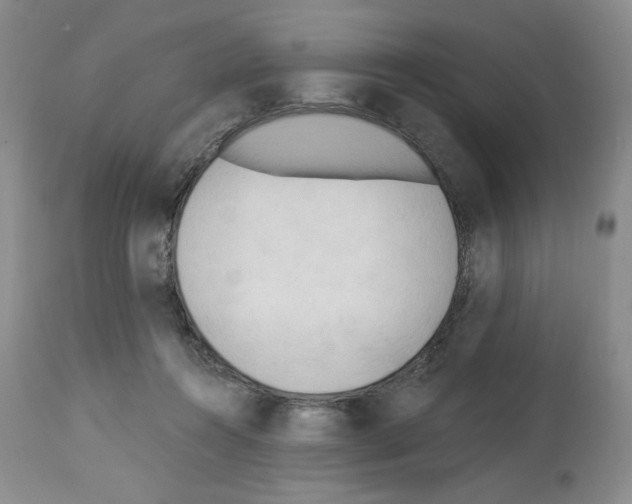 X0000112740360200910011226